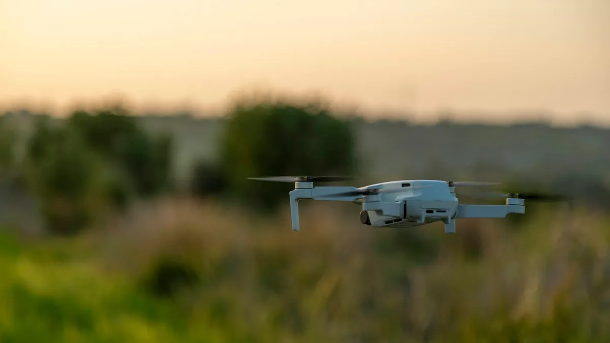 DJI Mini 2 SE vs Mini 4K in India: Choose for the Finished Video